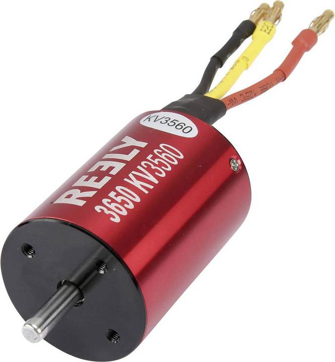 Actual product image Reely Car model brushless electromo