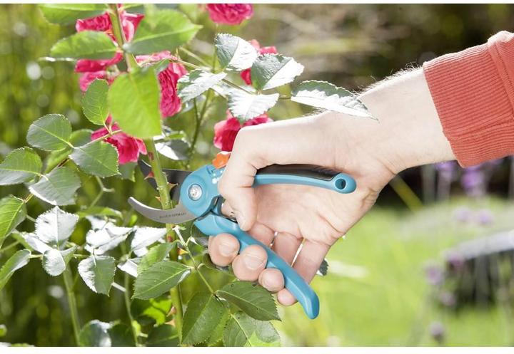 Produktbild Gardena Classic Rebschere