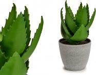Ibergarden vaso grande per piante di aloe vera