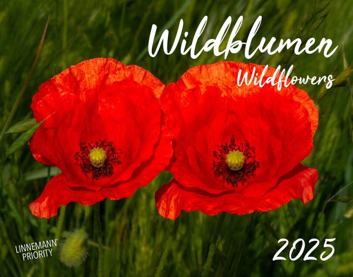 Immagine prodotto Calendario di grande formato Wildflowers 2025 58 (Copertina rigida, Tedesco)