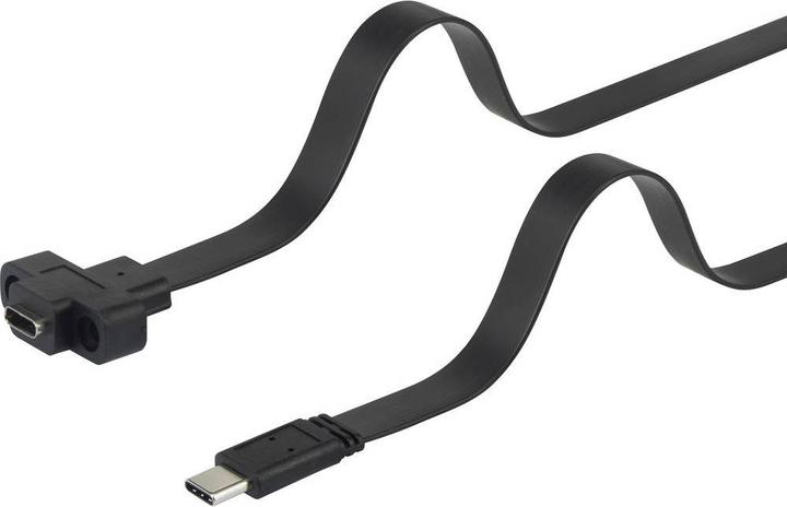 Image du produit Renkforce Câble d'extension USB 3.1 (Gen 2) 25 cm (0.25 m, USB 3.2 Gen 1)