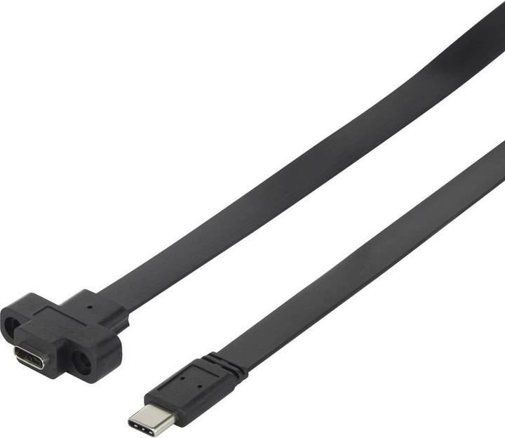 Image du produit Renkforce Câble d'extension USB 3.1 (Gen 2) 25 cm (0.25 m, USB 3.2 Gen 1)