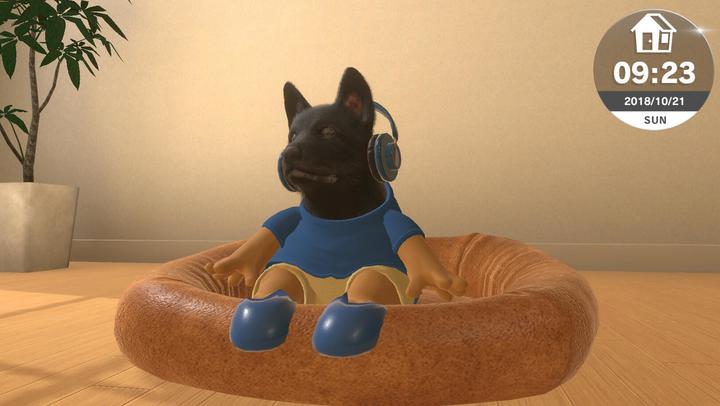 Actual product image Sold Out Little Friends: Dogs & Cats (Switch, DE)