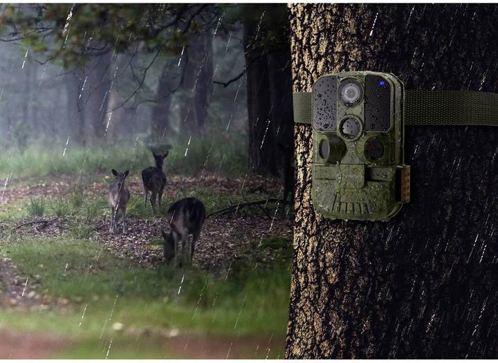 Produktbild Renkforce Wildkamera