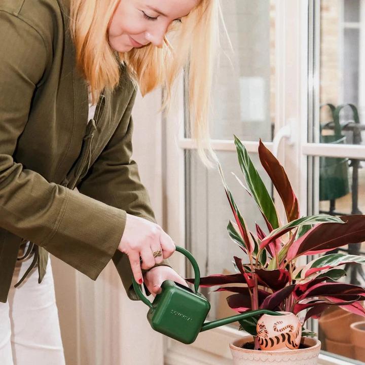 Produktbild Pepin Bewässerungskegel Olla Tiger Camille Gressier (Bewässerungskugeln)