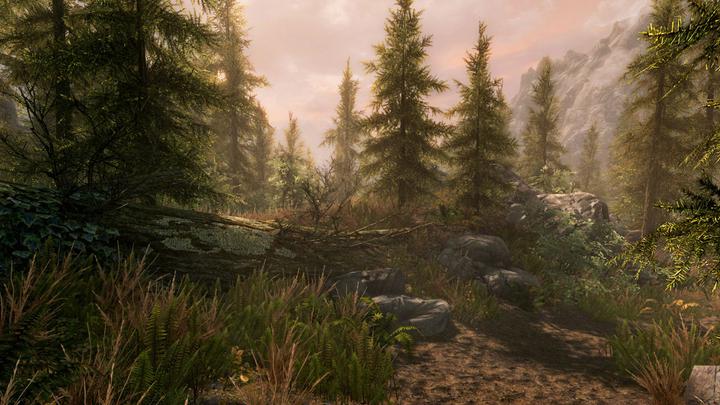 Produktbild Microsoft The Elder Scrolls V: Skyrim Special Edition (Xbox Series X, Xbox Series S, Xbox One X, Xbox One S)