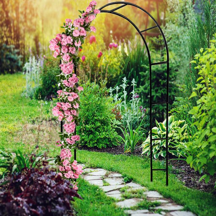 Image du produit Deuba Kit d'arches de jardin (240 cm, 140 cm)