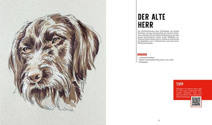 Image du produit Tiere zeichnen (2 Bücher im Bundle)