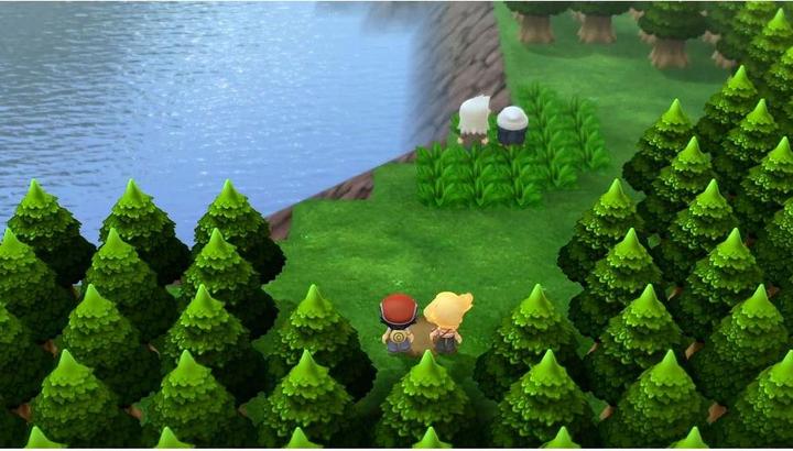 Actual product image Nintendo Pokémon Brilliant Diamond (Switch, Multilingual)