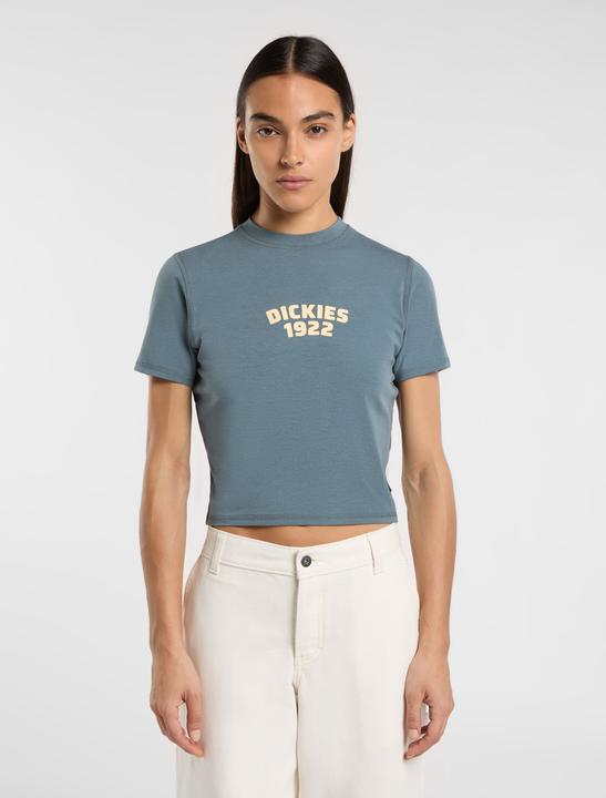 Actual product image Dickies Center Logo Ss Tee W Stormy Weather (S)