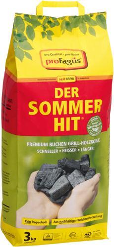 Actual product image ProFagus Holzkohle Sommerhit 3 kg (3 kg)