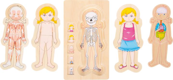 Image du produit small foot Anatomie des filles (Allemand)