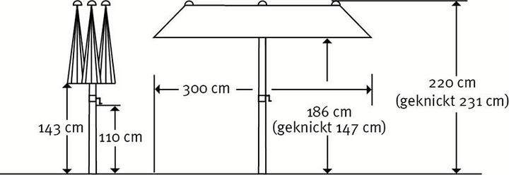 Immagine prodotto Schneider Schirme Ombrellone Schneider Salerno 300x150 cm verde (1.50 m)