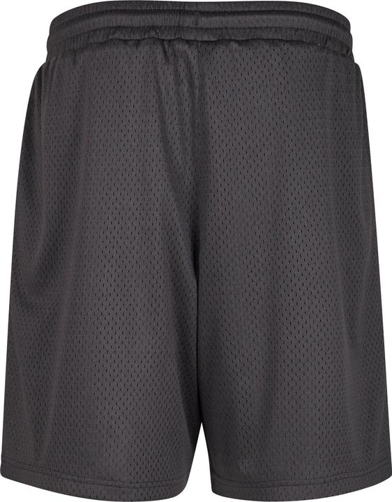 Produktbild Fubu FM242-005-1 Varsity Mesh Shorts - 159561 (L)