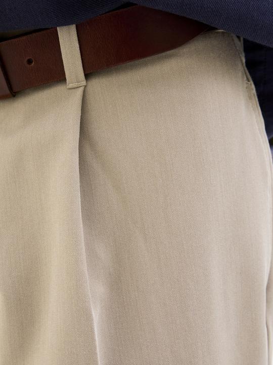 Actual product image Jack & Jones Jprcckarl Jjcameron Pleated Chino Pants (W34/L32)