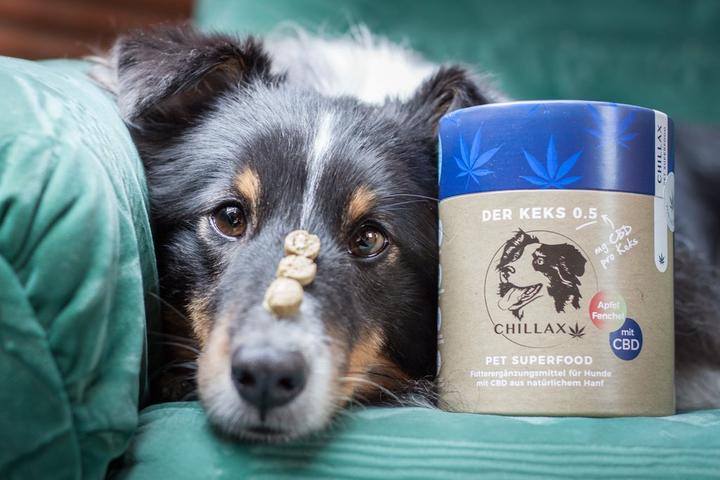 Actual product image Chillax Dog CBD Biscuit 0.5mg Fennel (Junior, Senior, Adult, 1 pcs., 180 g)