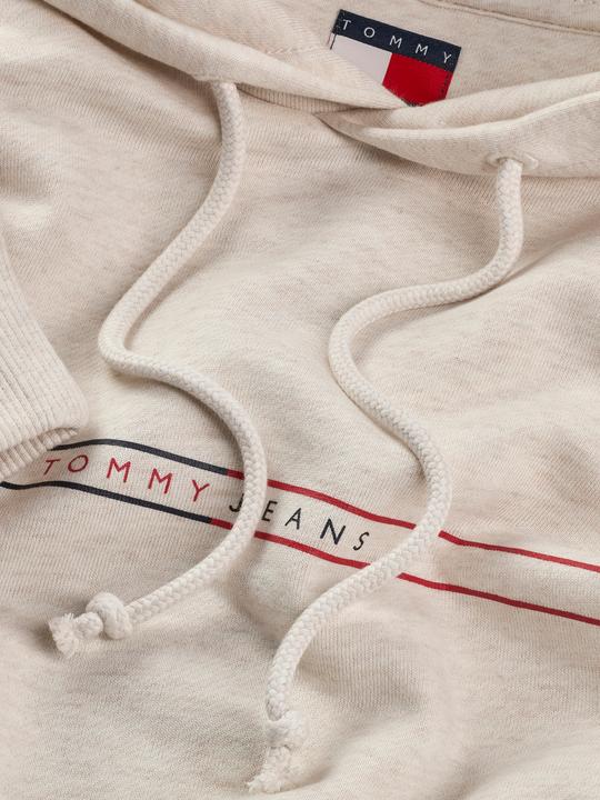 Produktbild Tommy Jeans Tjm Reg Entry Graphic Hoodie Ext (L)