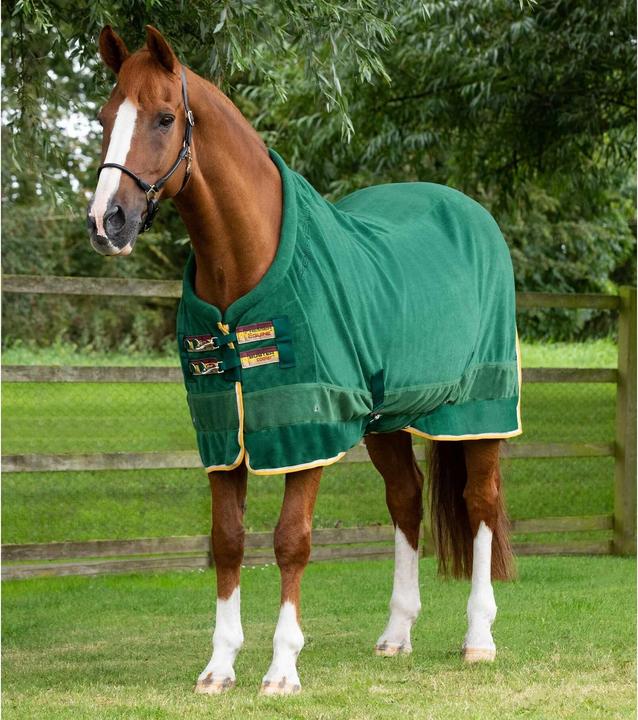 Produktbild Premier Equine Buster Continental 280g (213 cm)