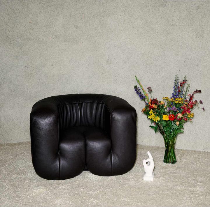 Image du produit De Sede Ds-707/01 Fauteuil