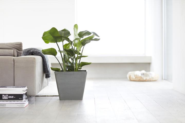 Image du produit Ecopots Rotterdam (50 cm)