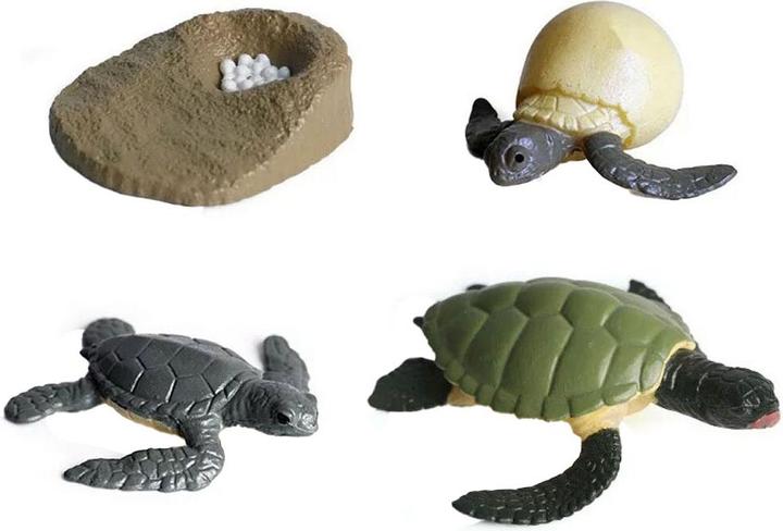 Actual product image Life cycle turtle toy figure set