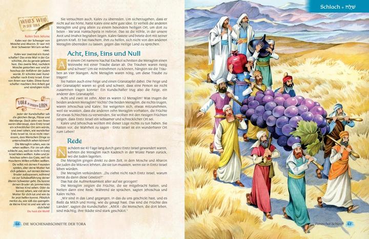 Actual product image Katz Tova (German, Nachman Zakon, 2023)
