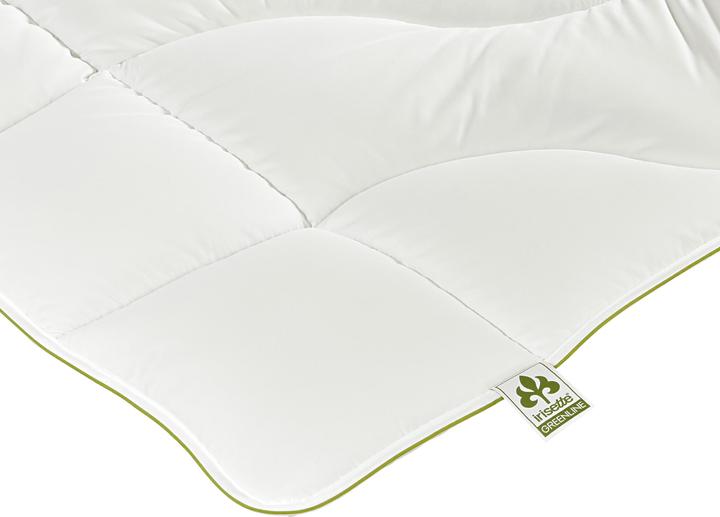 Produktbild Irisette Greenline Greenline Cyclafill ECO leicht (400 g, 155 x 220 cm)