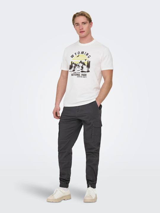 Produktbild Only & Sons Onscarter Life Cargo Cuff 0013 Pant Noos (W32/L30)