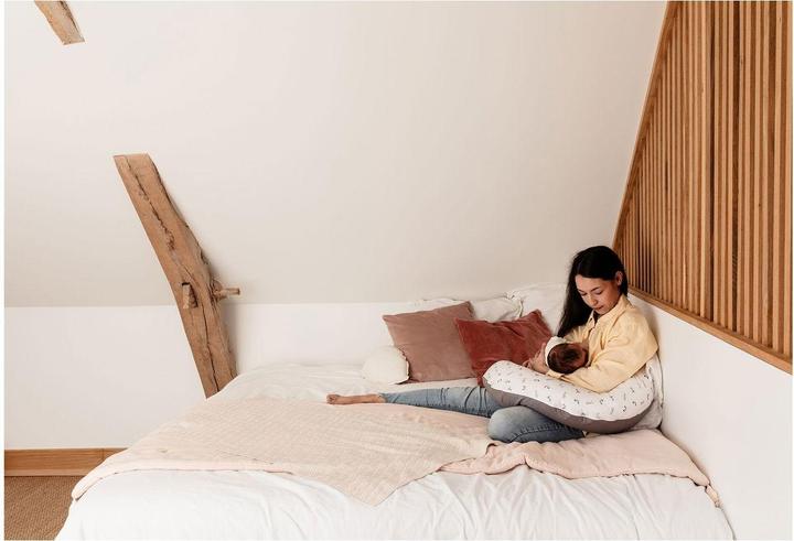 Actual product image Candide Multifunctional pregnancy cushion