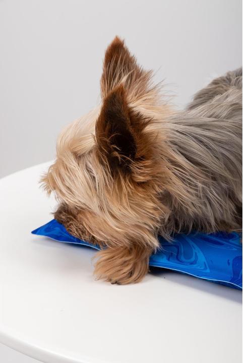 Actual product image Trend Pet Arctic Comfort cooling mat 50 x 35 cm (Dog)