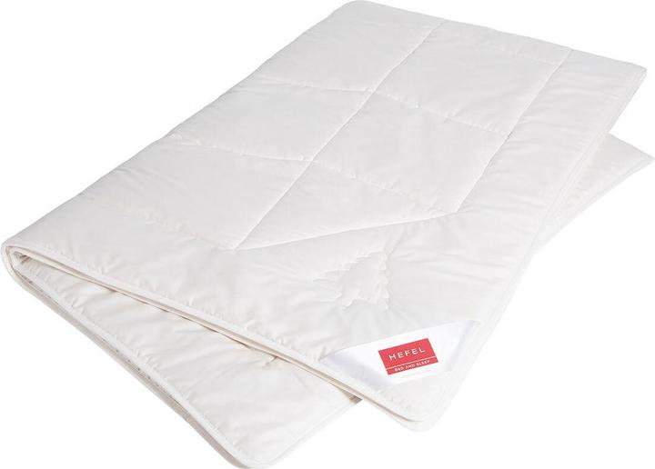 Hefel Couverture en pin suisse légère Wellness, garniture : 100% laine vierge avec des copeaux de pin