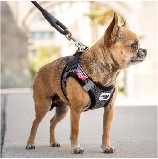 Produktbild Curli Stretch Comfort Leine (M, Hund)
