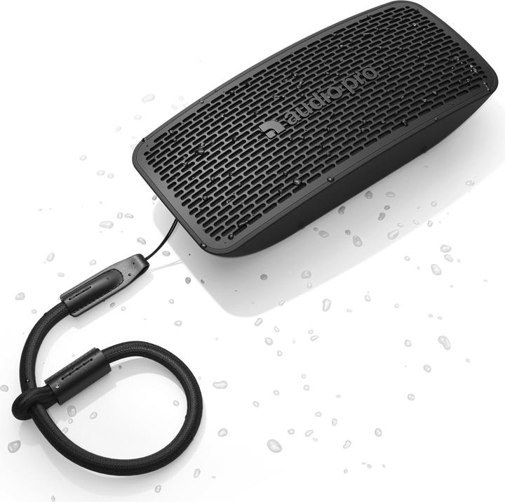 Immagine prodotto Audio Pro Altoparlante portatile senza fili P5 - Nero (14 h, Batteria)
