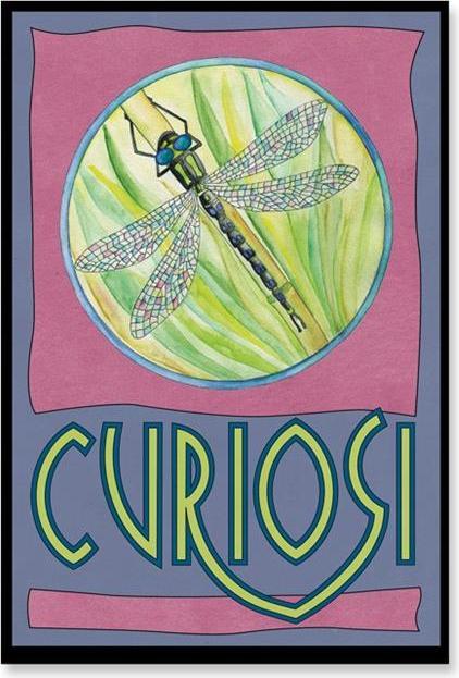 Actual product image Curiosi Picolo Puzzle Pico "Dragonfly (33 pieces)