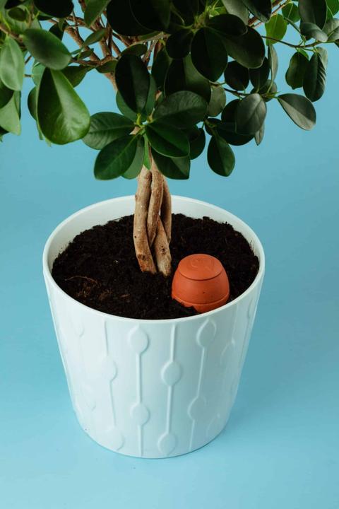 Actual product image WePot Olla S