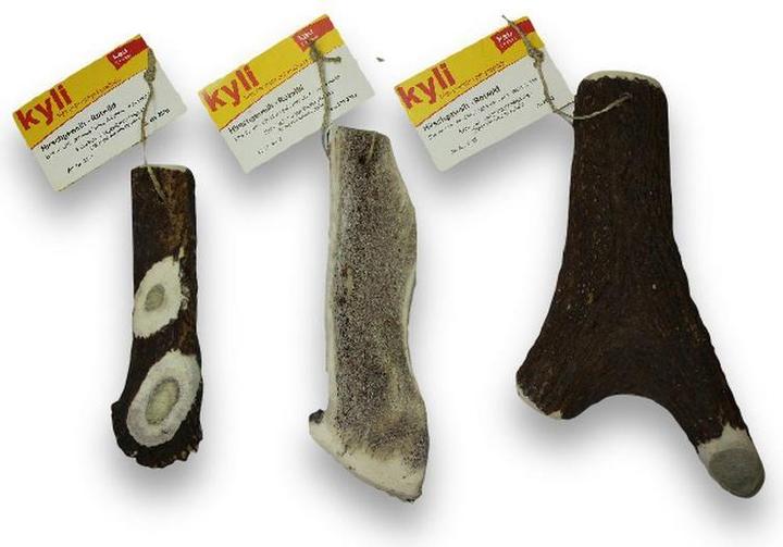 Image du produit Kyli Bois de cerf Cerf (Adulte, 1 pcs, 66 g)