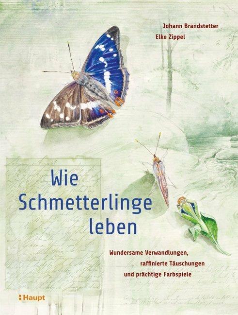 Produktbild Wie Schmetterlinge leben (Deutsch, Johann Brandstetter, Elke Zippel, 2019)