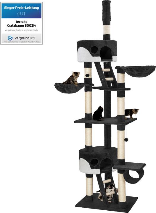 Actual product image tectake Cat Tree Hansi (260 cm, White, Black)
