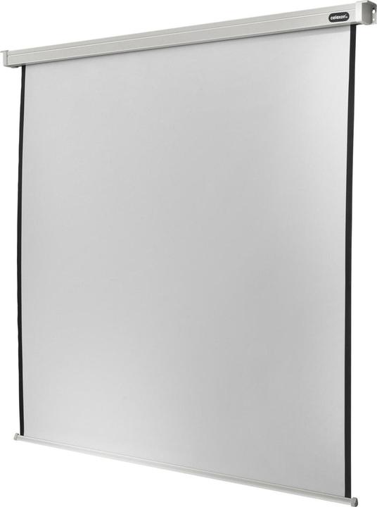 Produktbild Celexon Rollo Professional (120.08", 1:1)