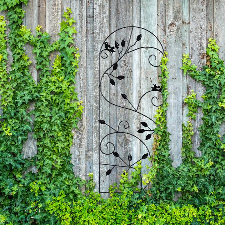 Image du produit Relaxdays Treillis de jardin en fer (40 cm, 0.50 cm)