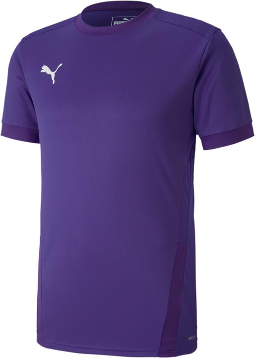 Puma teamGOAL 23 Jersey-704171 (M)