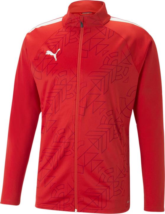 Puma teamLIGA Graphic