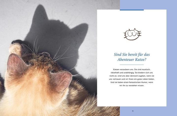 Produktbild Wie wir Katzen glücklich machen (Deutsch, Carmen Schell, 2024)