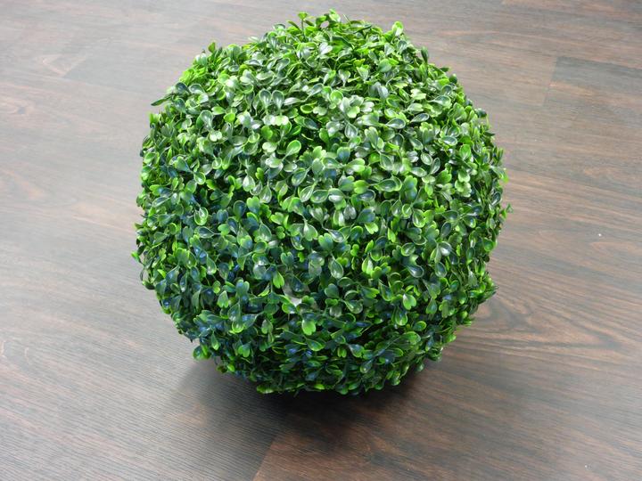 Immagine prodotto Botanic-Haus Palla al piede (30 cm)
