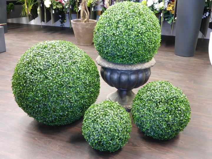 Immagine prodotto Botanic-Haus Palla al piede (30 cm)