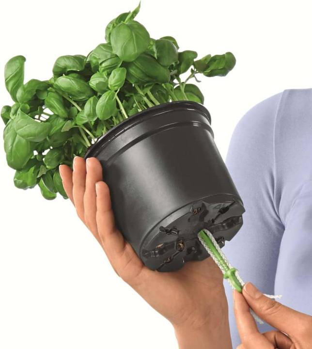 Produktbild Lechuza Green Wall Home Kit (15 cm)