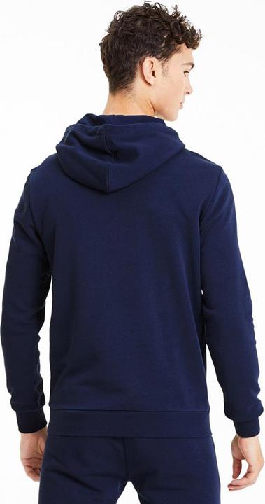 Actual product image Puma teamGOAL 23 Causals Hoody-656580 (S)