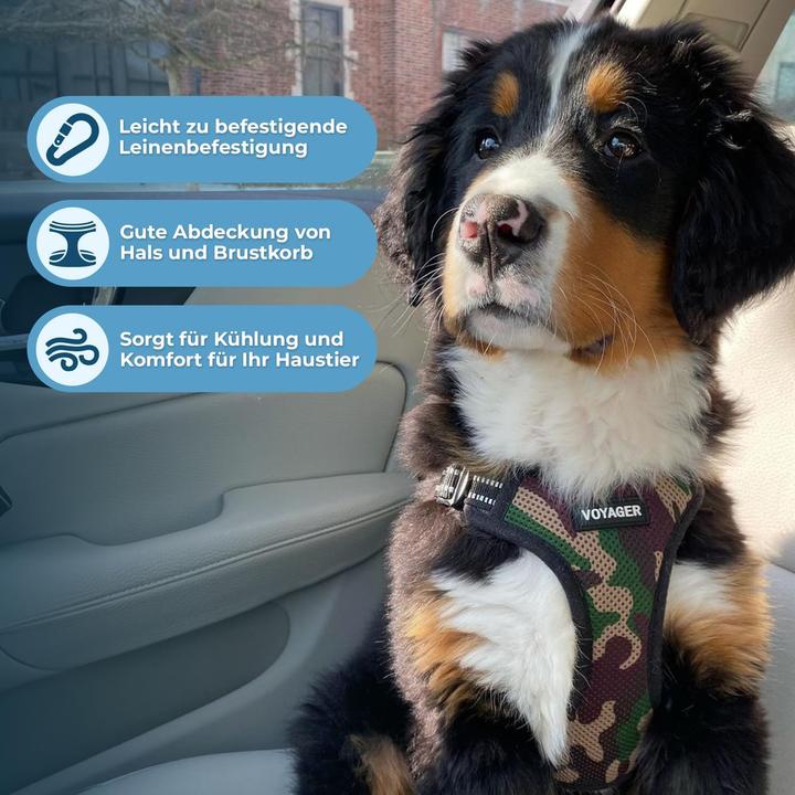 Image du produit Voyager Verstellbares Hundegeschirr mit Reflektorstreifen (S, Chien)