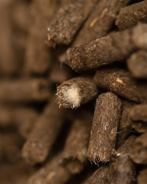 Actual product image feey Biodünger Pellets (0.05 kg, 0.10 l)