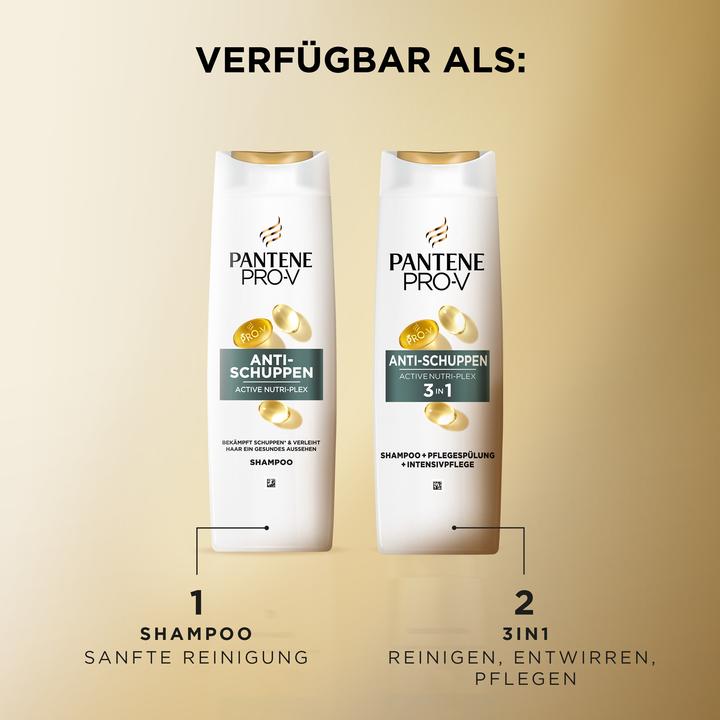 Actual product image Pantene Pro-V Anti-Schuppen (300 ml)